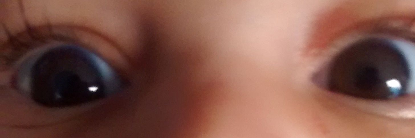 oliviafontana's profile banner image