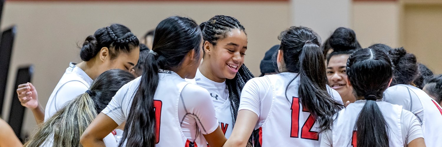 CCSF Women's Bball banner