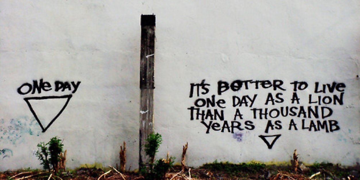 BrianW banner