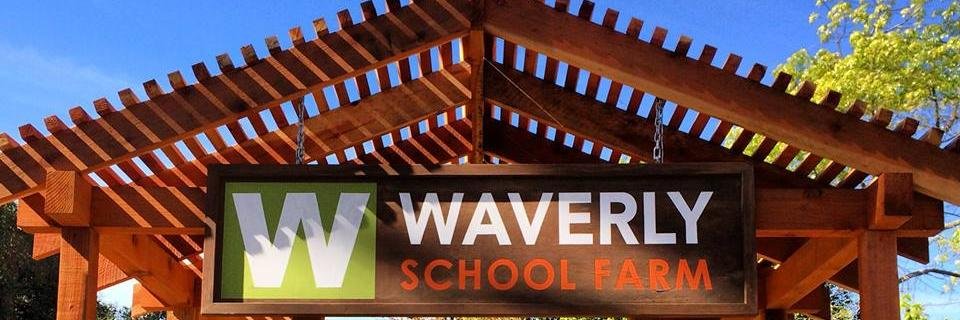 waverly_school's profile banner image