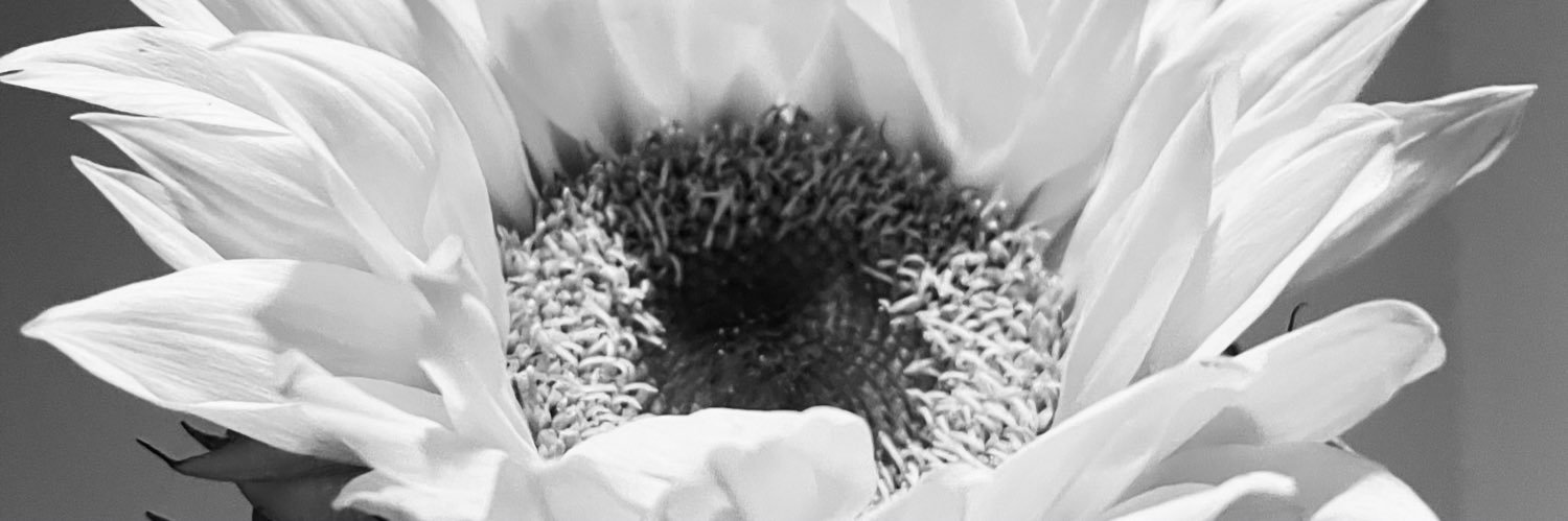 nicolas_dov's profile banner image