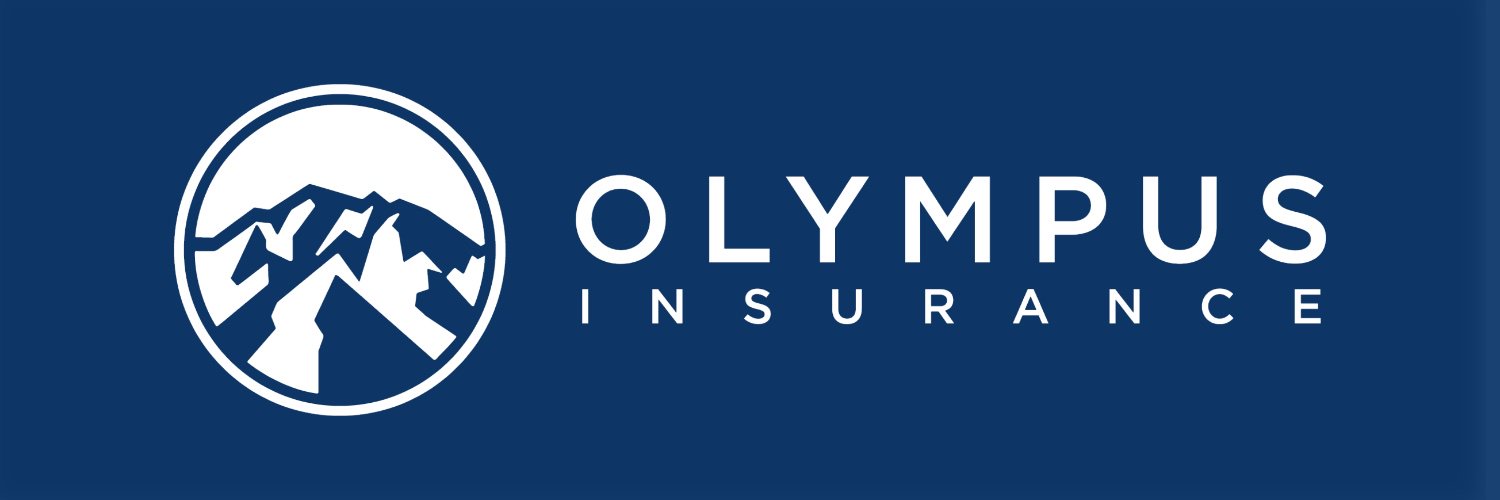 olyins's profile banner image