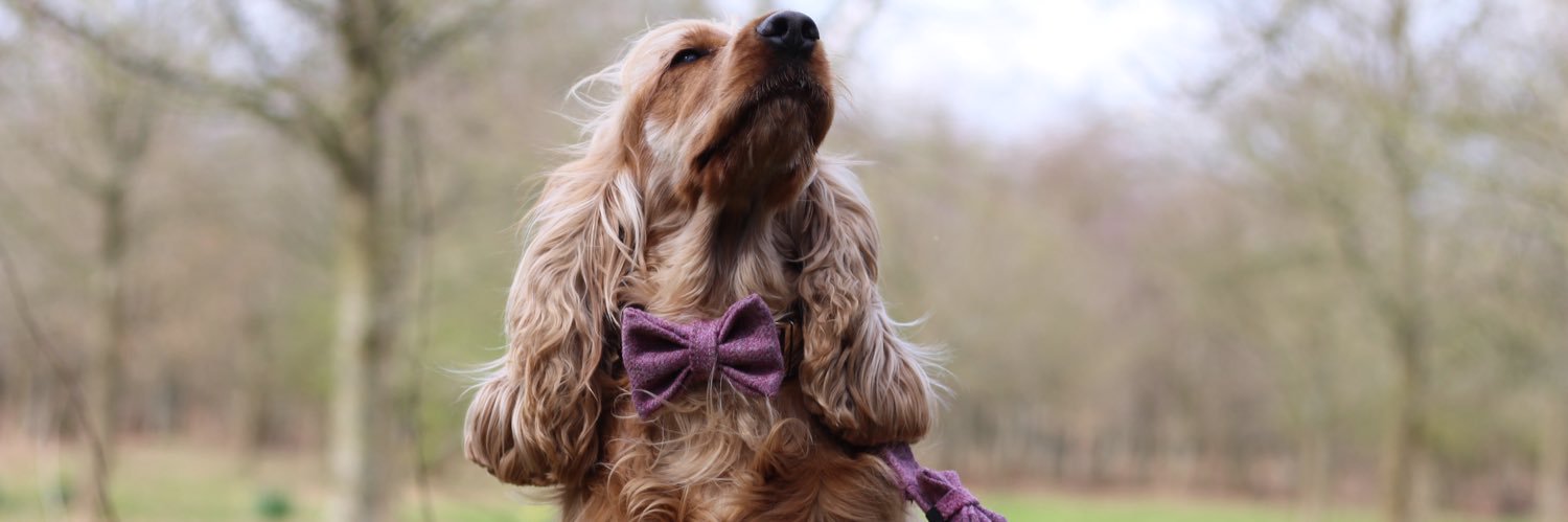 MaddieMakes's profile banner image