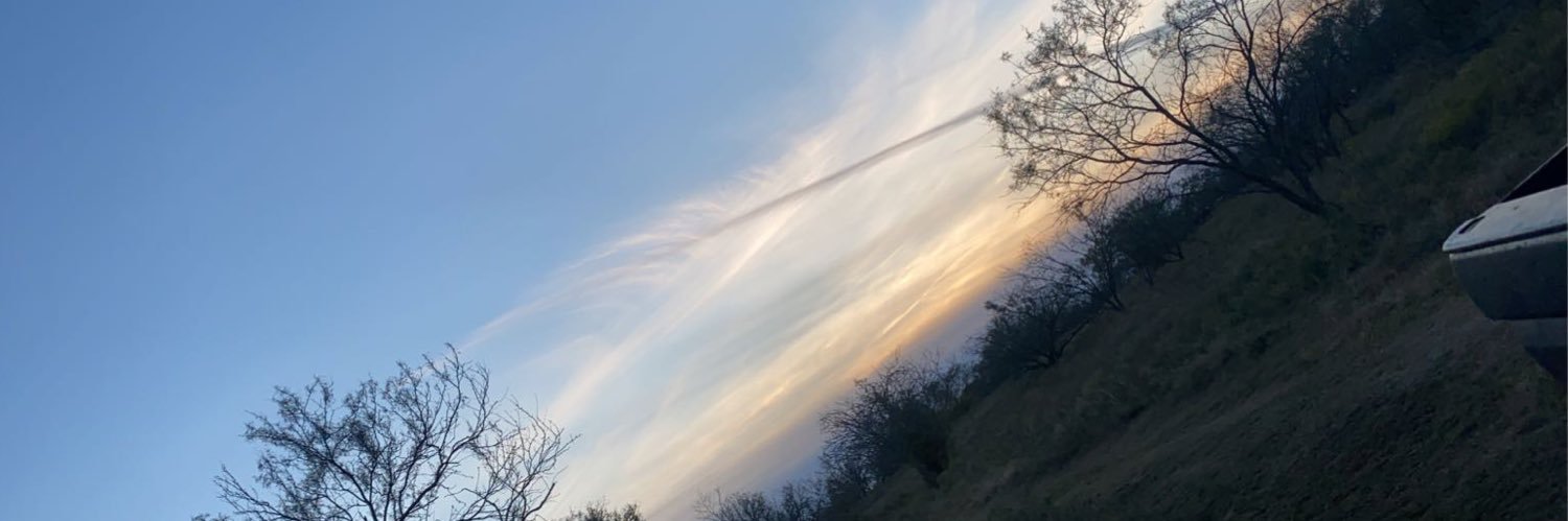 DalaneyWatson's profile banner image