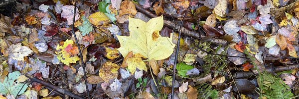 richnovack Profile Banner