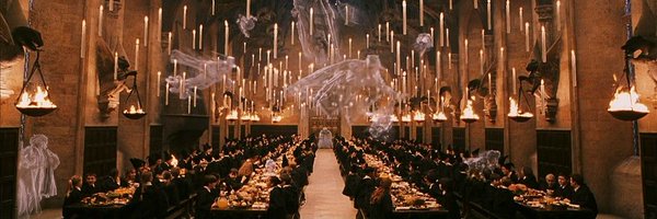 FourPrivetDr Profile Banner