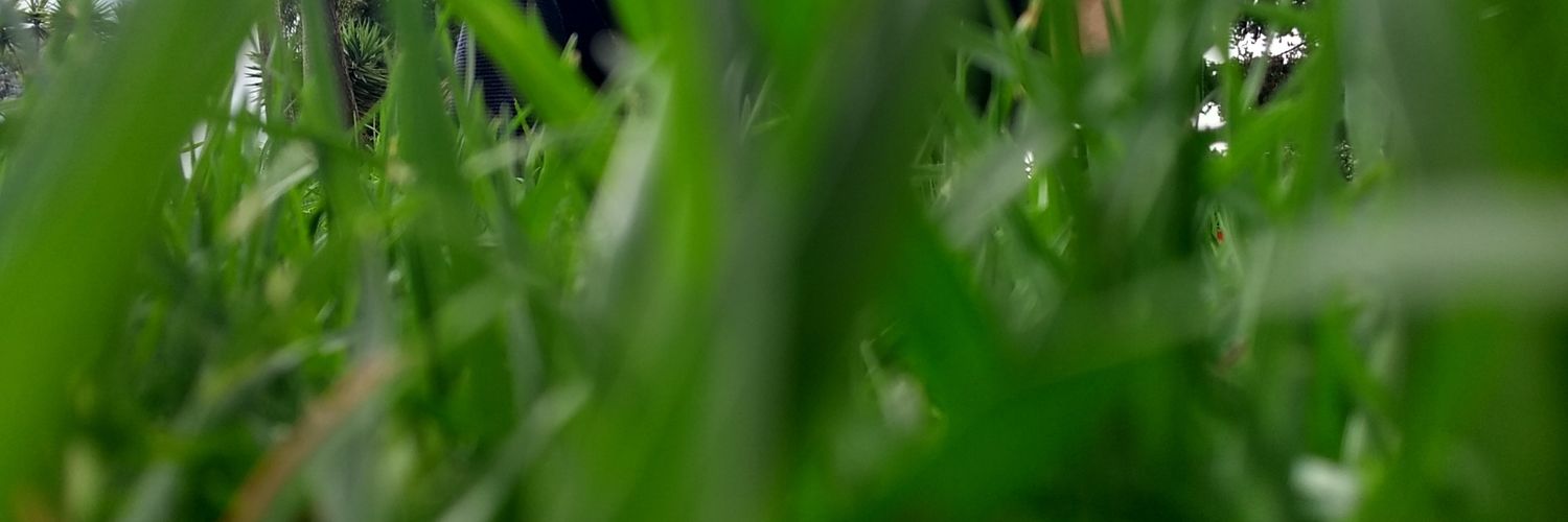 AlejoVillareall's profile banner image