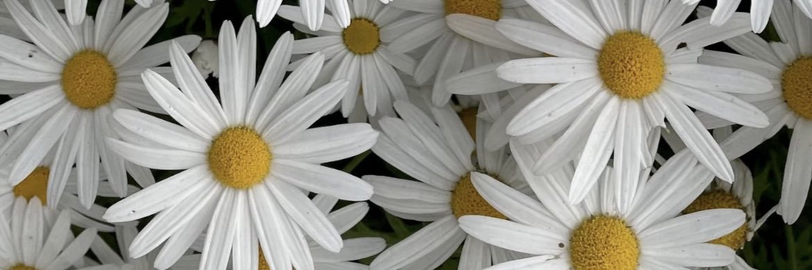 OrlkinG's profile banner image