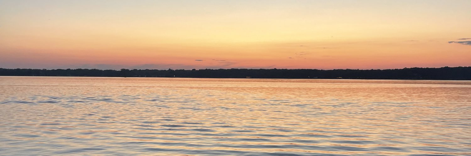 Deidra Niedziejko banner