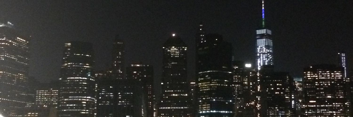 DsG_VTX's profile banner image