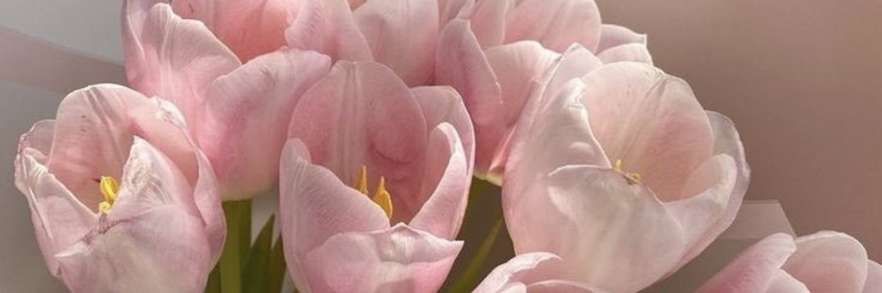 SimplyMariel5's profile banner image