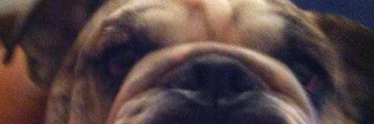 miguel a vega cortes banner