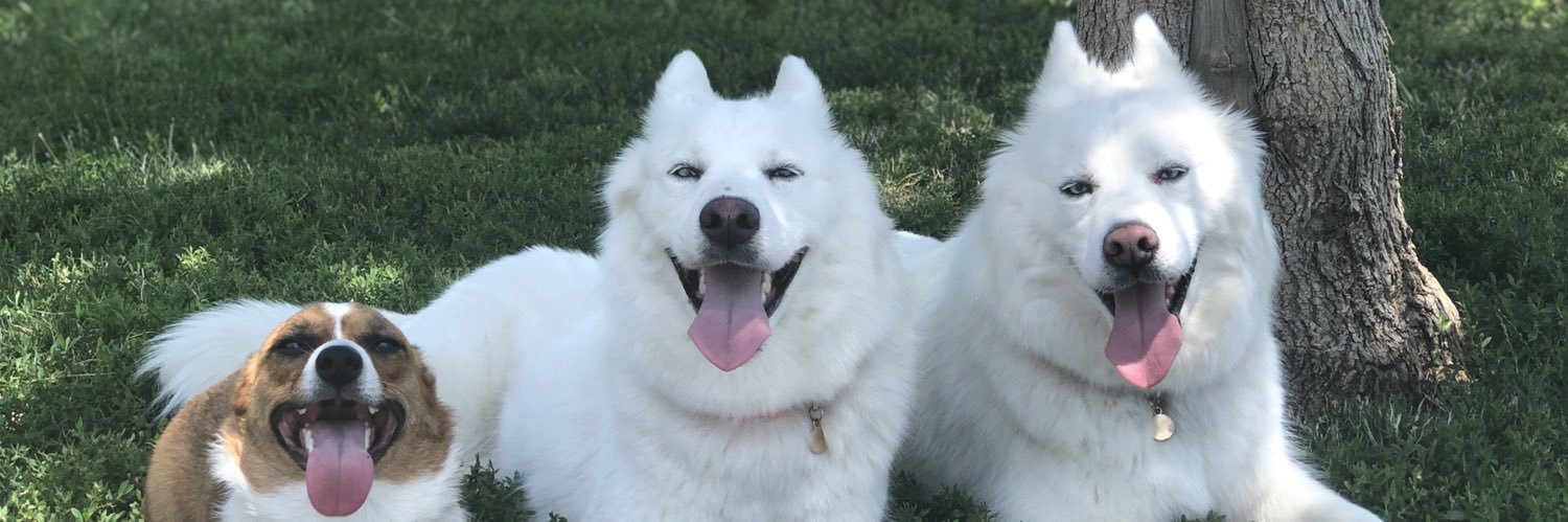 mkjschwenk's profile banner image