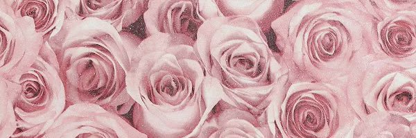 ashm_cameron's profile banner image