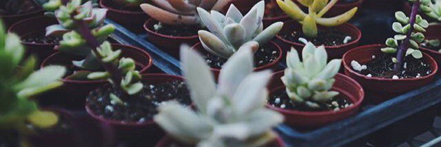 emily__low's profile banner image