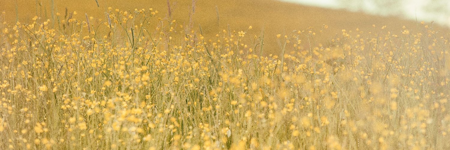 communitylinds's profile banner image