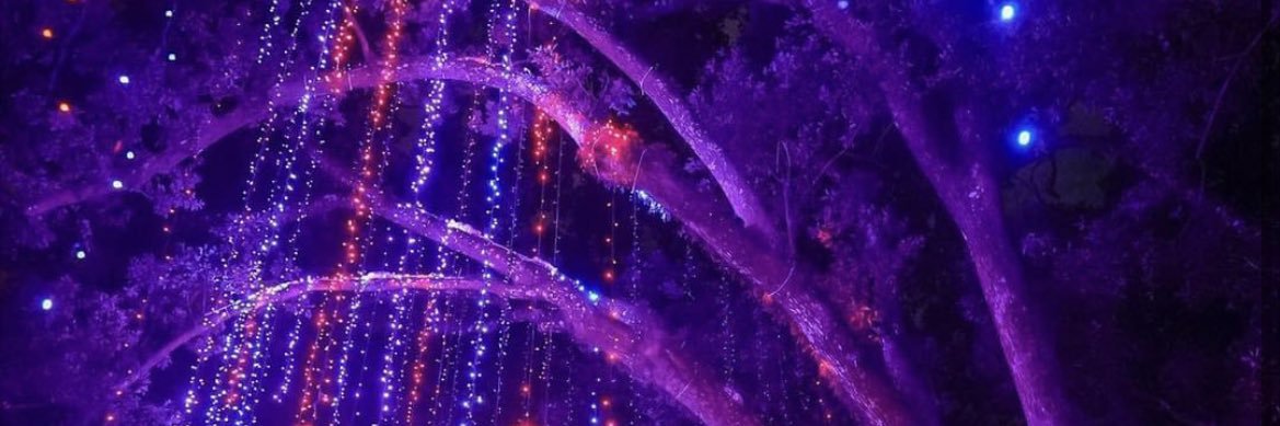 👽 banner