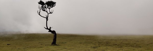 TankiaiTaskuota Profile Banner