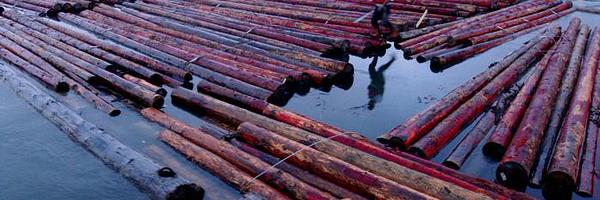 mbartelTC Profile Banner