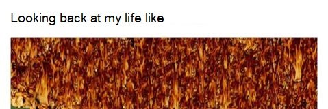 Spidek 🏳️‍🌈 banner