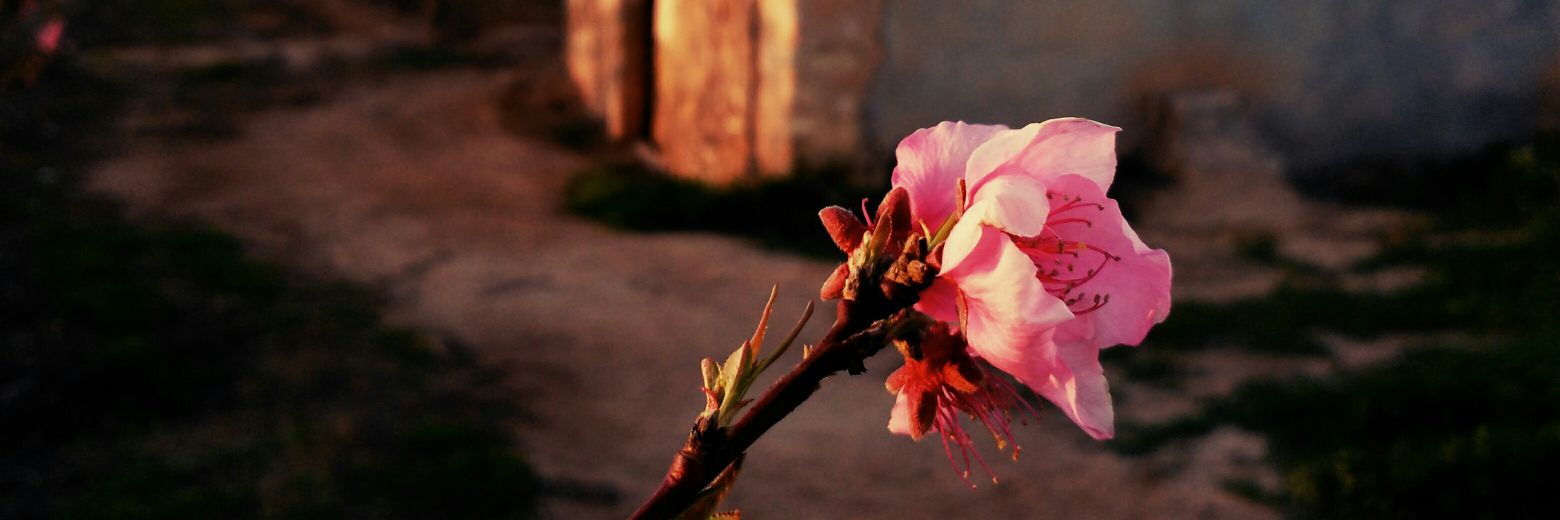 JesusMorreres's profile banner image