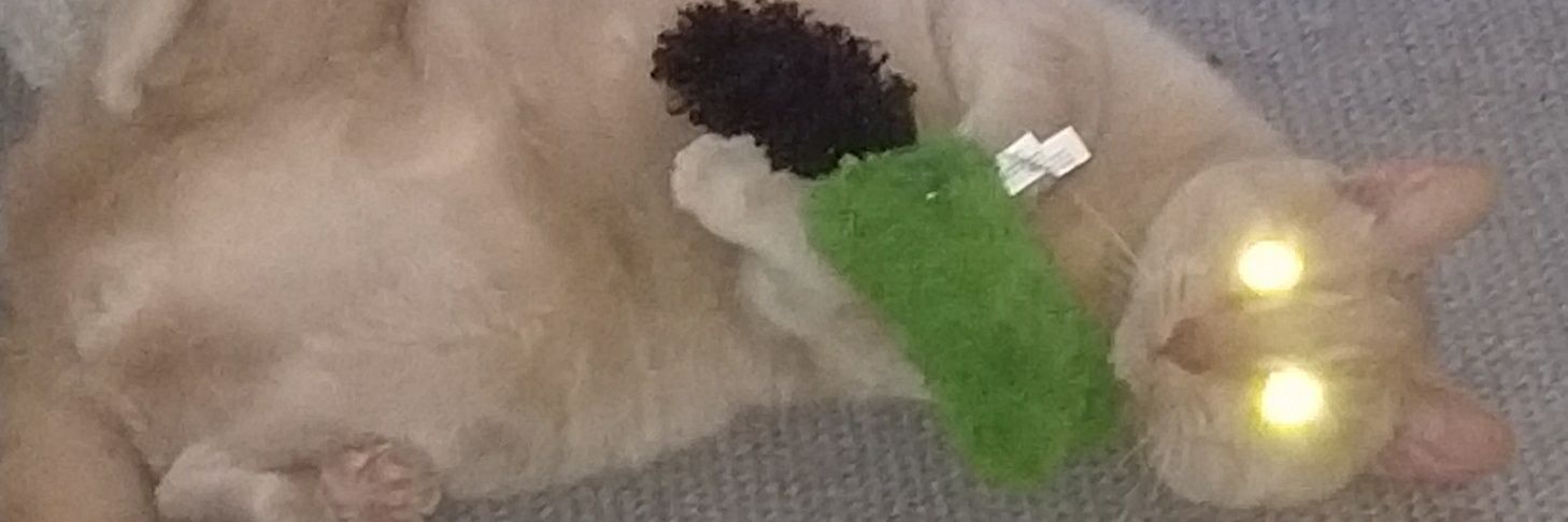 TweetsFromWash's profile banner image