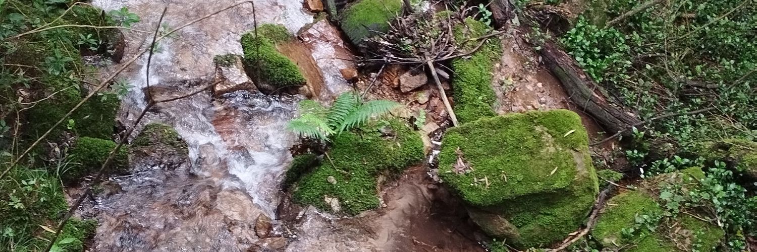 laufer050's profile banner image