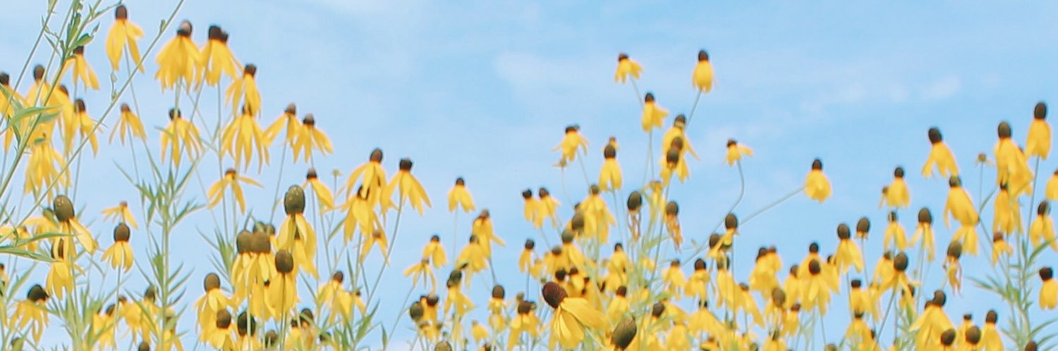 _Haleyyyyyyy_'s profile banner image