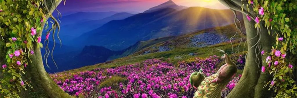 abuhmod's profile banner image