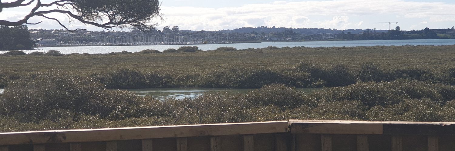ReeceAuckKiwi banner