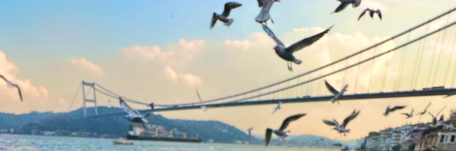 Roni27_'s profile banner image