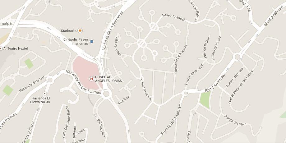 Salvemos Interlomas 🇲🇽 🇮🇱 🇺🇦 banner