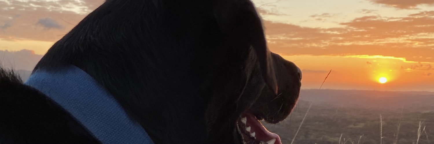 rosave's profile banner image