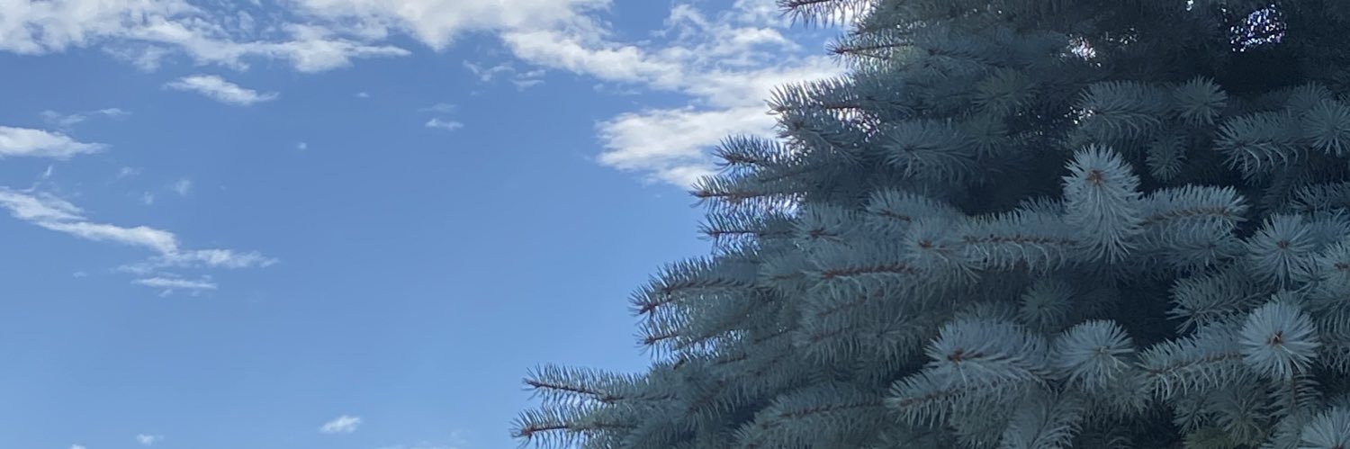 barofstardust's profile banner image