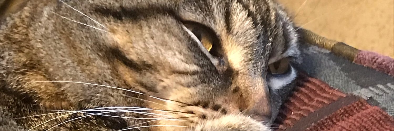 JasonBLassner's profile banner image