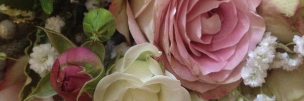 oncphysio Profile Banner