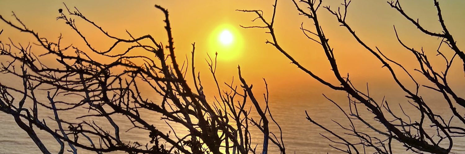 CatAngeles86's profile banner image