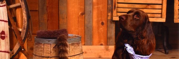 planeruler Profile Banner