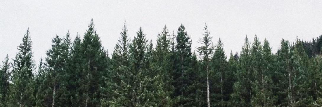 Sydtanner's profile banner image
