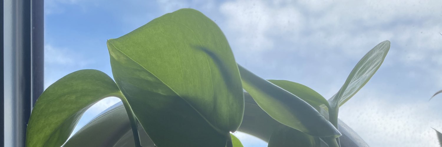 thetidefalls's profile banner image