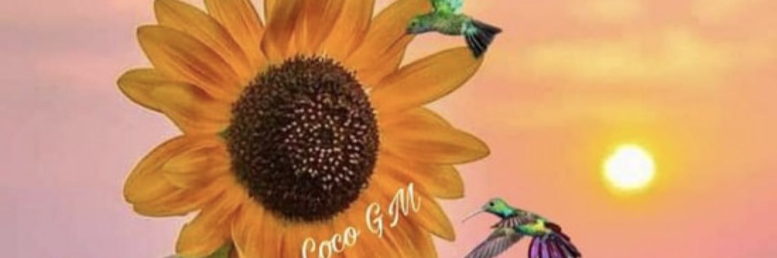 Sol_OConnor's profile banner image