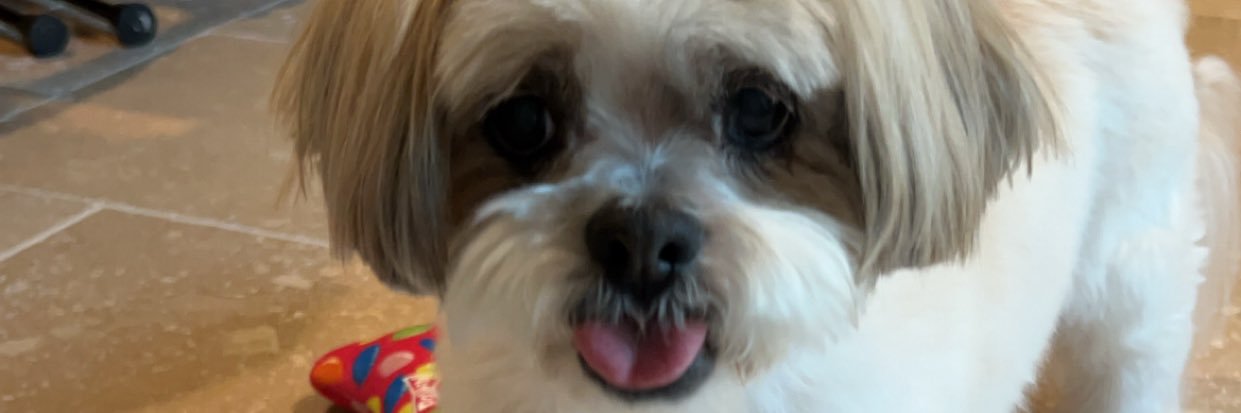 carelesserror's profile banner image