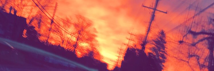 CockyKT's profile banner image