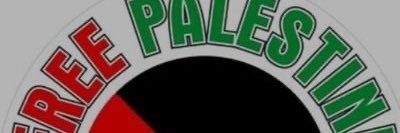 anna🇨🇺🇵🇸🏳️#iostoconGaza # banner