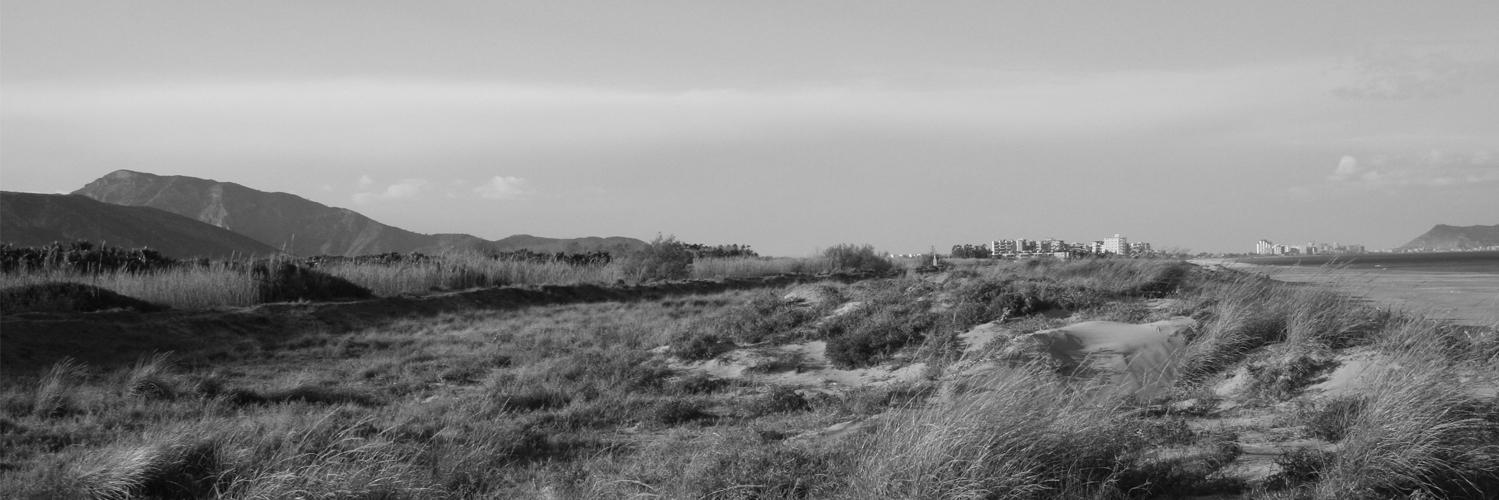 JoanLSoler's profile banner image