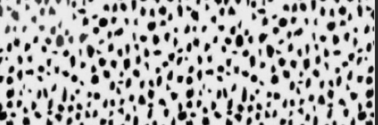 briannalee_1's profile banner image