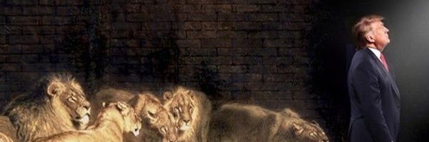 timothylewis141's profile banner image