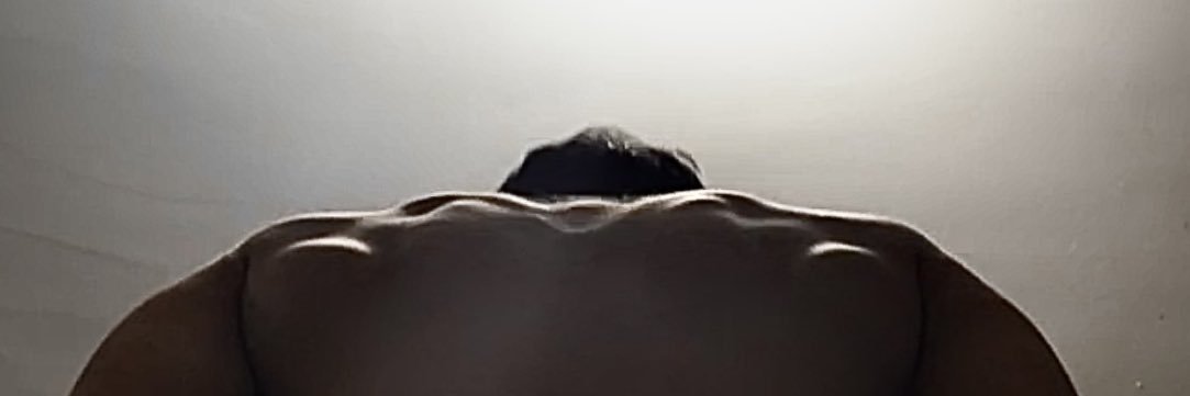 الشيخ banner