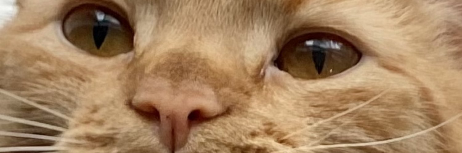 DBLeevs's profile banner image