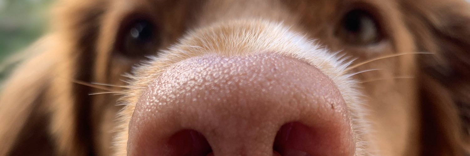 MPrattMorgan's profile banner image